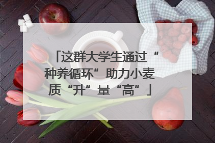 这群大学生通过“种养循环”助力小麦质“升”量“高”
