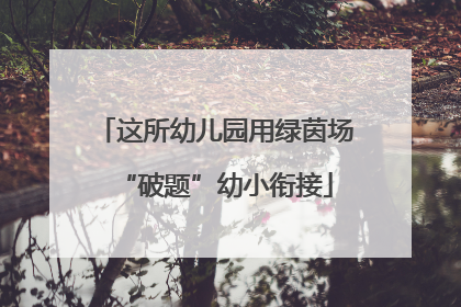 这所幼儿园用绿茵场“破题”幼小衔接