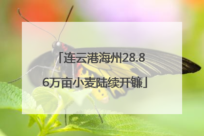 连云港海州28.86万亩小麦陆续开镰