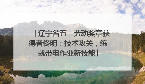 辽宁省五一劳动奖章获得者佟明：技术攻关，练就带电作业新技能