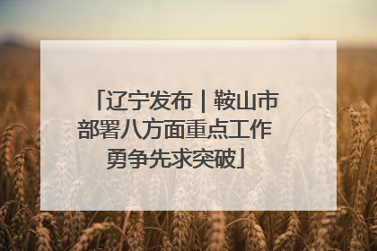 辽宁发布｜鞍山市部署八方面重点工作勇争先求突破