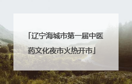 辽宁海城市第一届中医药文化夜市火热开市