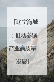 辽宁海城：推动菱镁产业高质量发展