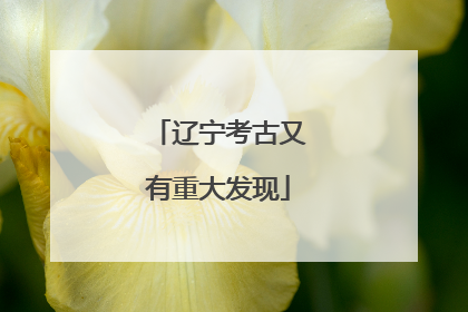 辽宁考古又有重大发现