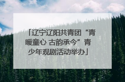 辽宁辽阳共青团“青暖童心 古韵承今”青少年观剧活动举办