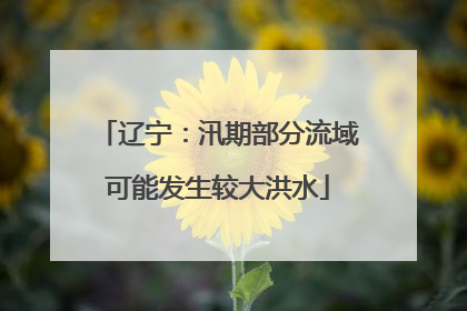 辽宁:汛期部分流域可能发生较大洪水