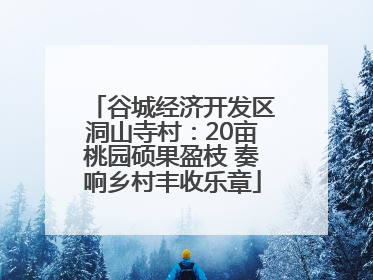 谷城经济开发区洞山寺村：20亩桃园硕果盈枝 奏响乡村丰收乐章