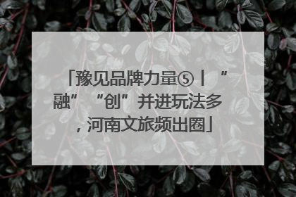 豫见品牌力量⑤丨“融”“创”并进玩法多，河南文旅频出圈