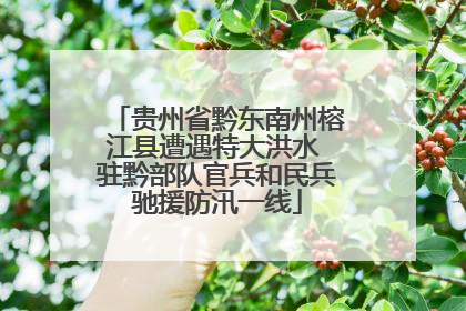 贵州省黔东南州榕江县遭遇特大洪水 驻黔部队官兵和民兵驰援防汛一线