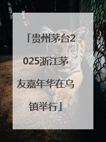 贵州茅台2025浙江茅友嘉年华在乌镇举行