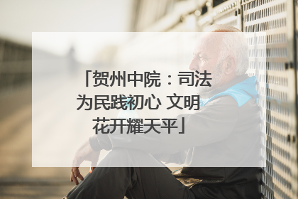 贺州中院：司法为民践初心 文明花开耀天平