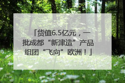 货值6.5亿元，一批成都“新津造”产品组团“飞向”欧洲！