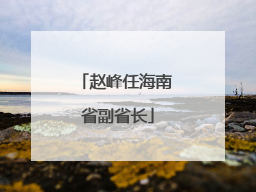 赵峰任海南省副省长