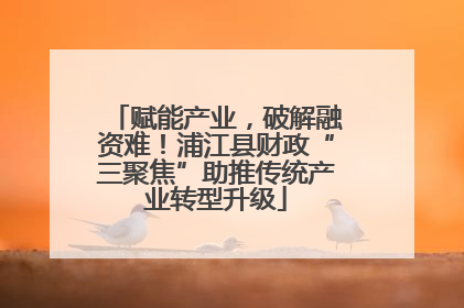 赋能产业，破解融资难！浦江县财政“三聚焦”助推传统产业转型升级
