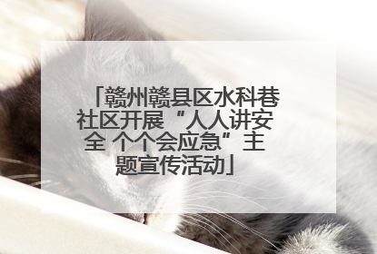 赣州赣县区水科巷社区开展“人人讲安全 个个会应急”主题宣传活动