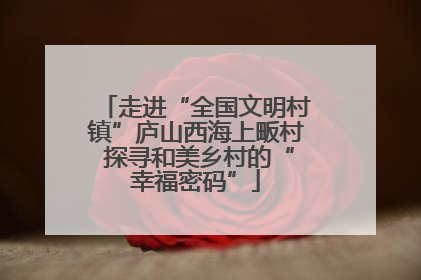 走进“全国文明村镇”庐山西海上畈村 探寻和美乡村的“幸福密码”