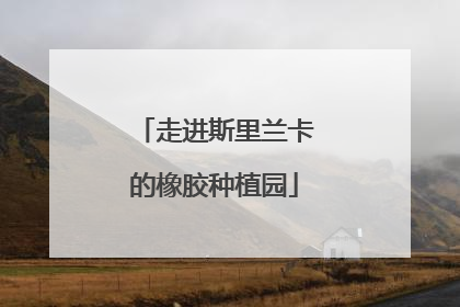 走进斯里兰卡的橡胶种植园