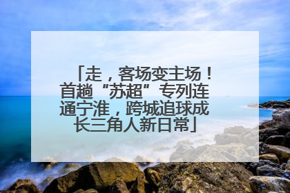 走，客场变主场！首趟“苏超”专列连通宁淮，跨城追球成长三角人新日常