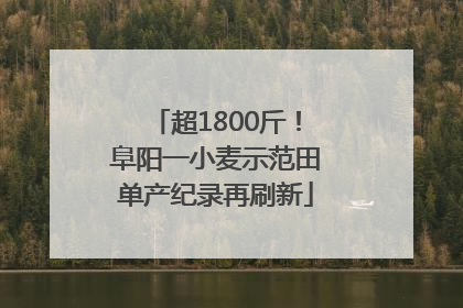 超1800斤！阜阳一小麦示范田单产纪录再刷新