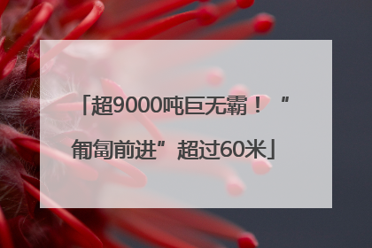 超9000吨巨无霸！“匍匐前进”超过60米