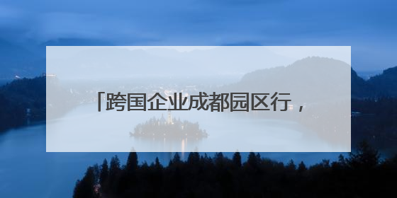 跨国企业成都园区行，意大利企业家忙着加微信，看好成都产业优势