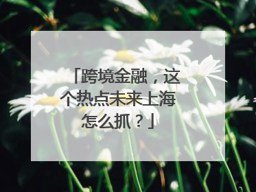 跨境金融，这个热点未来上海怎么抓？