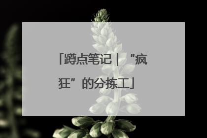 蹲点笔记｜“疯狂”的分拣工