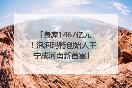 身家1467亿元！泡泡玛特创始人王宁成河南新首富