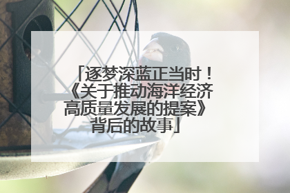 逐梦深蓝正当时！《关于推动海洋经济高质量发展的提案》背后的故事