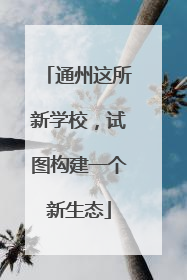 通州这所新学校，试图构建一个新生态
