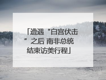 遭遇“白宫伏击”之后 南非总统结束访美行程
