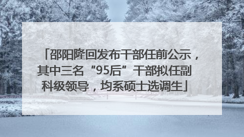 邵阳隆回发布干部任前公示，其中三名“95后”干部拟任副科级领导，均系硕士选调生