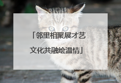 邻里相聚展才艺 文化共融绘温情