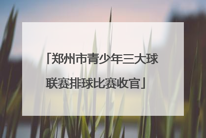 郑州市青少年三大球联赛排球比赛收官