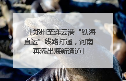 郑州至连云港“铁海直运”线路打通，河南再添出海新通道