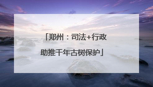郑州：司法+行政助推千年古树保护
