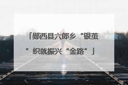 郧西县六郎乡“银茧”织就振兴“金路”