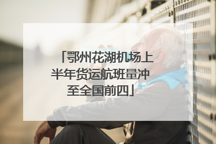 鄂州花湖机场上半年货运航班量冲至全国前四