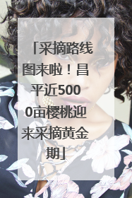采摘路线图来啦！昌平近5000亩樱桃迎来采摘黄金期