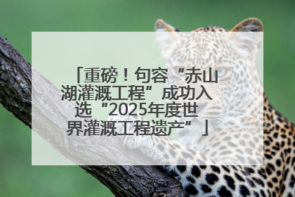 重磅！句容“赤山湖灌溉工程”成功入选“2025年度世界灌溉工程遗产”