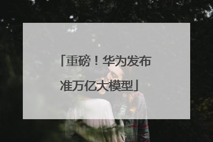 重磅！华为发布准万亿大模型