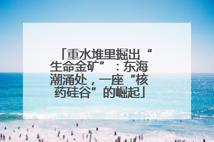 重水堆里掘出“生命金矿”：东海潮涌处，一座“核药硅谷”的崛起
