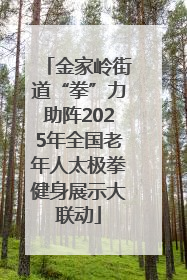 金家岭街道“拳”力助阵2025年全国老年人太极拳健身展示大联动