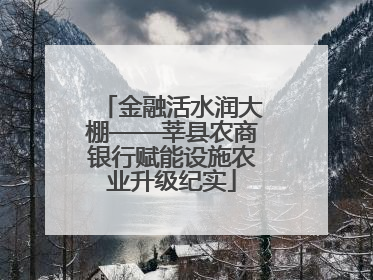 金融活水润大棚——莘县农商银行赋能设施农业升级纪实
