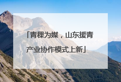 青稞为媒，山东援青产业协作模式上新