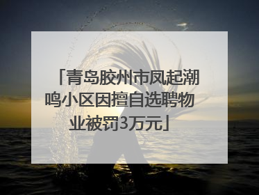 青岛胶州市凤起潮鸣小区因擅自选聘物业被罚3万元