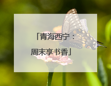 青海西宁：周末享书香
