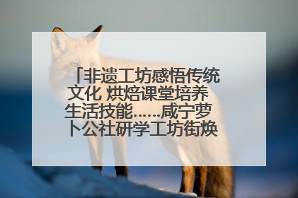 非遗工坊感悟传统文化 烘焙课堂培养生活技能……咸宁萝卜公社研学工坊街焕新迎“双节”