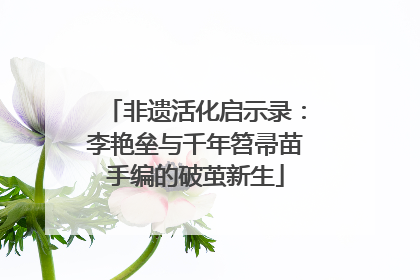 非遗活化启示录：李艳垒与千年笤帚苗手编的破茧新生