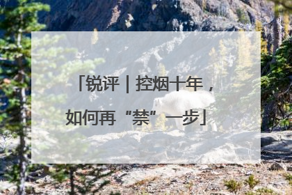 锐评｜控烟十年，如何再“禁”一步